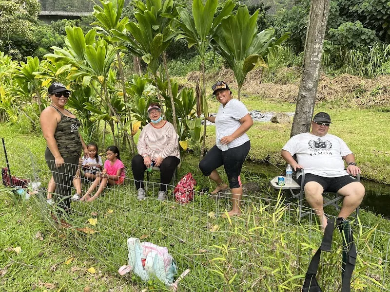 Dynamic Healing Center