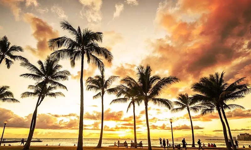 The Care Center of Honolulu - Photo 5