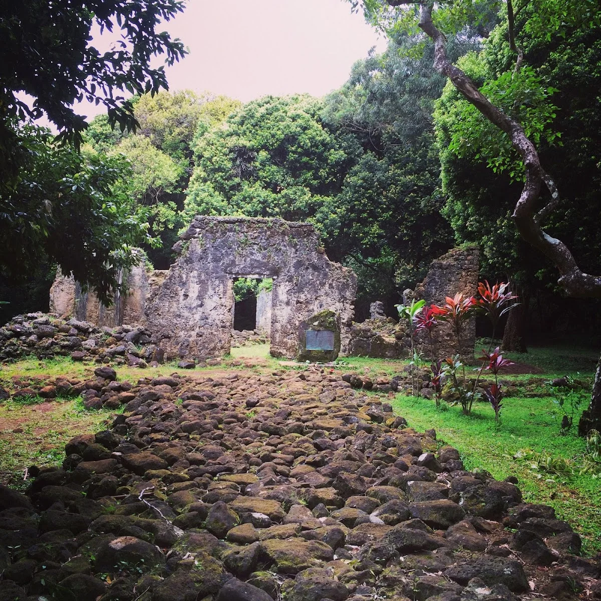 Good Life Counseling Center - Photo 5