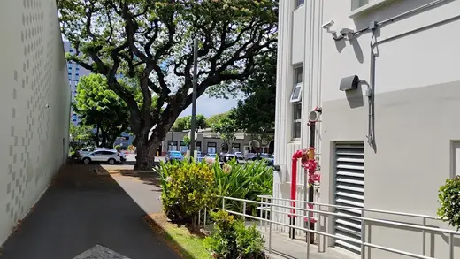Lush greenery beside the Kaheiheimalie Building at Queen's Counseling Center, a detox center in Hawaii.