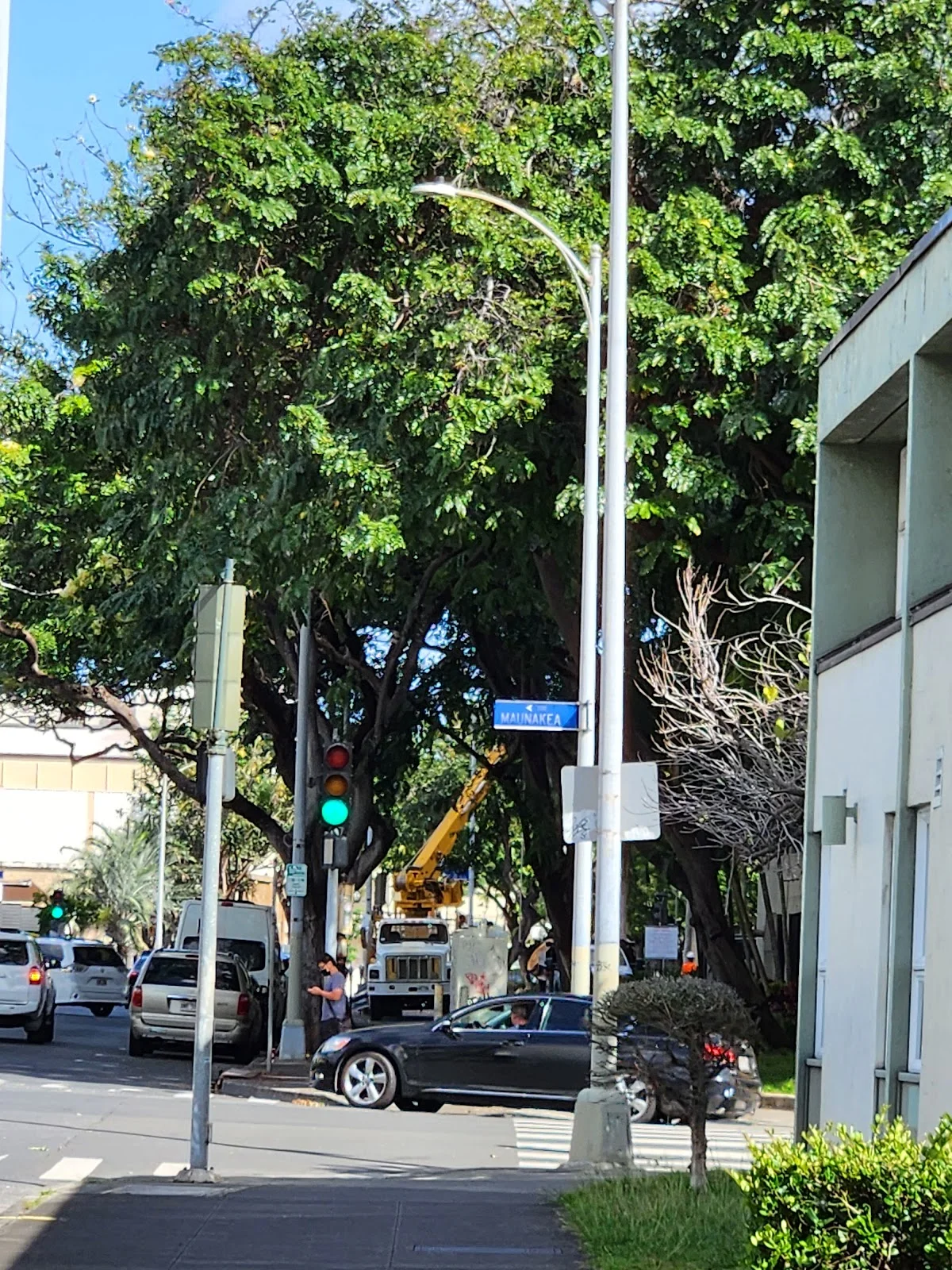 Kaheiheimalie Building - Queen's Counseling Center