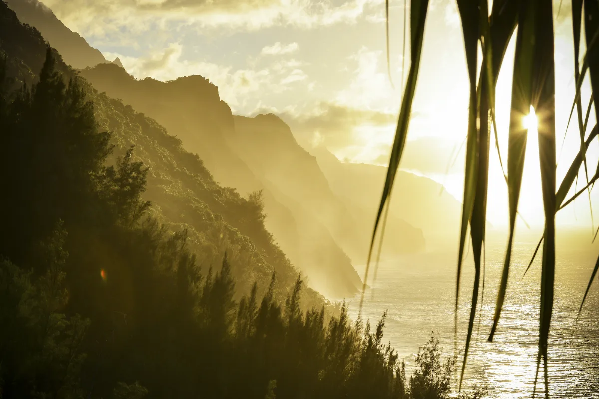 Wellness Partners Mental Health