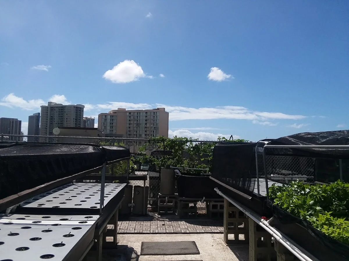 Institute For Human Services Inc