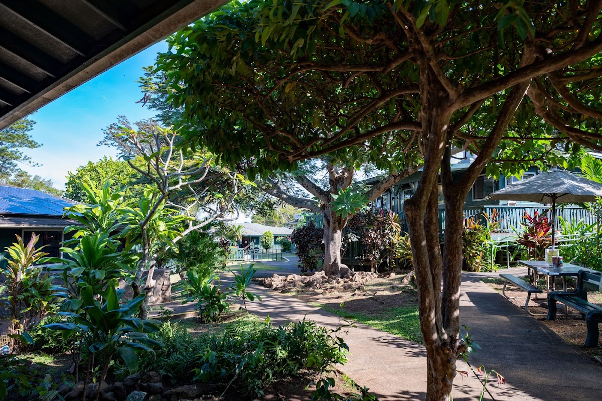 Aloha House, Inc. - Photo 2