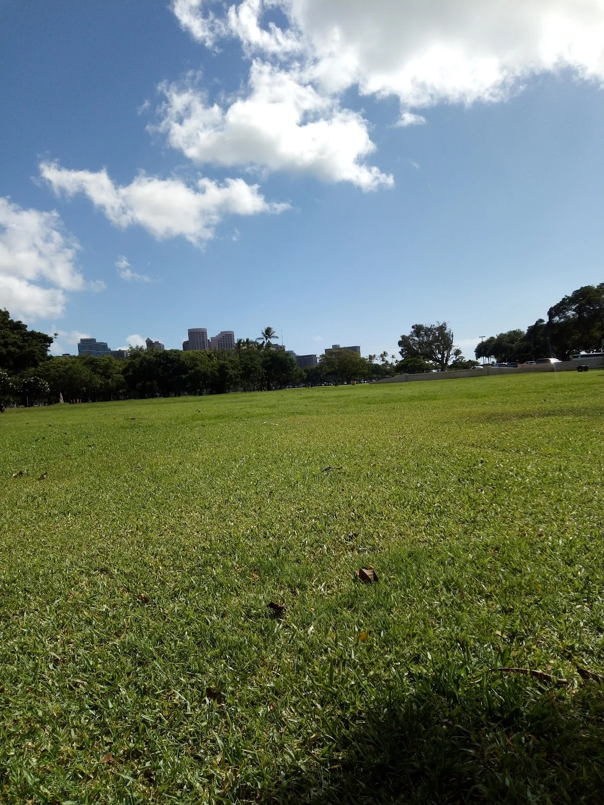 Hawaii Behavioral Health LLC