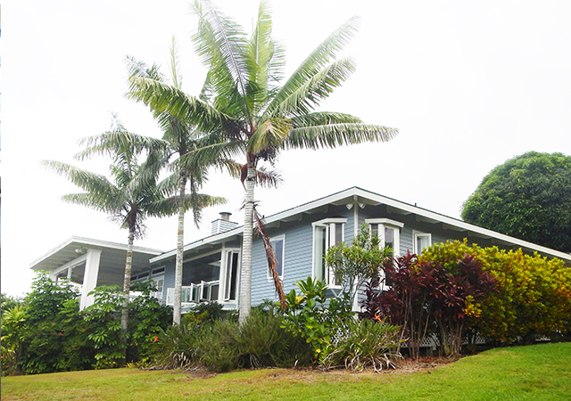 Hawaii Island Recovery provider image
